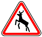 Дикие животные